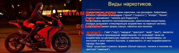 стаф Пересвет