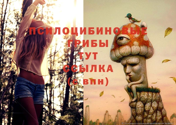 кокаин премиум Фёдоровский