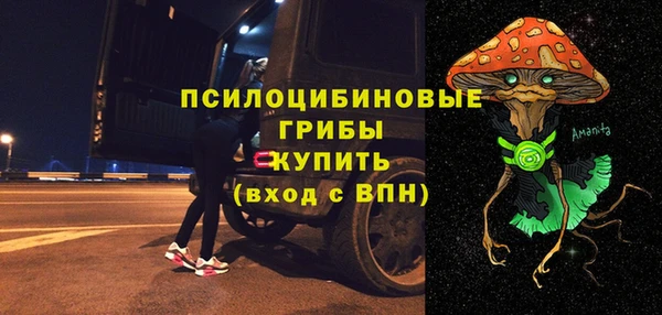 spice Абаза