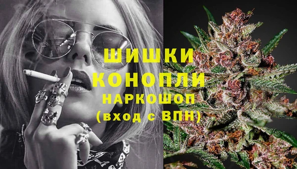 spice Абаза