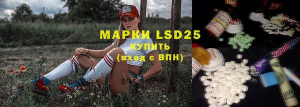 стаф Пересвет