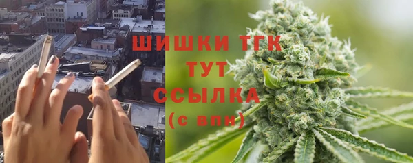 стаф Пересвет